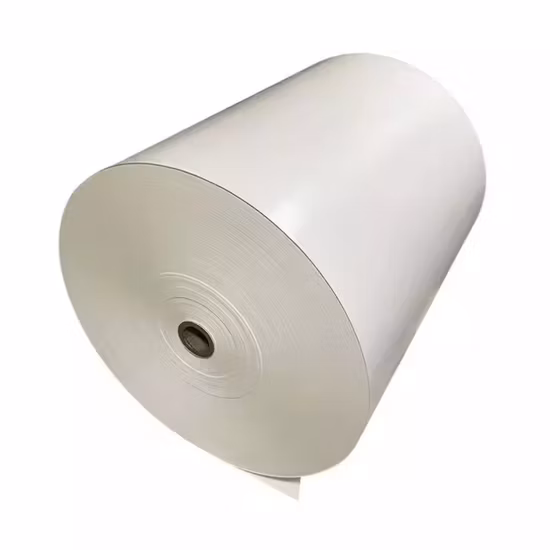 Paper Cup Bottom Roll for Disposable Paper Cups Manufacturer in China
