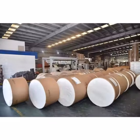 Papierbecher-Bodenrolle für Hersteller von Einweg-Pappbechern in China