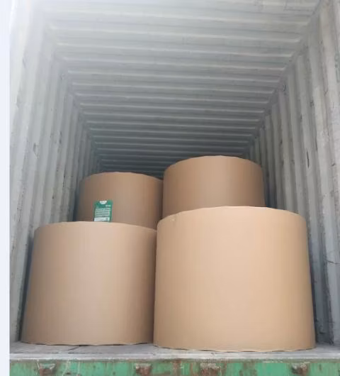 170 g, 180 g, 210 g, 230 g, 250 g, 300 g/m², Elfenbeinkarton, Fbb C1s, weißer Karton